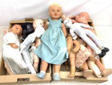 A group of assorted plastic, celluloid and porcelain headed dolls.
