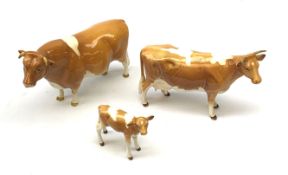 A Beswick Guernsey Bull 1451, marked Ch Sabrina's Sir Richmond 14th, Guernsey Cow, and Guernsey Calf