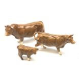 A Beswick Limousin Bull, Limousin Cow, and Limousin Calf, each with printed mark beneath, and all ma