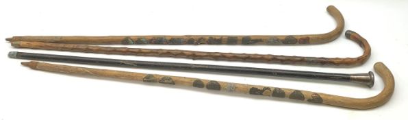 A group of four walking canes, comprising a silver mounted example upon ebonised cane, hallmarked Lo