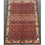 Hamadan red ground rug, repeating border and field, 194cm x 136cm