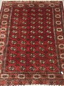 Turkman Tekke Bokhara red ground rug, the field and border decorated with guls, 177cm x 213cm