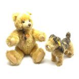 Steiff 1935 Classic Fellow, terrier dog, with yellow tag and button to ear, together with a Steiff t