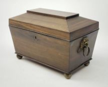 A 19th century Anglo-Indian coromandel sarcophagus shaped tea caddy of tapering oblong form with orn