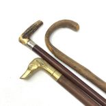Three walking canes, to include example with brass handle modelled as the head of a hound, and anoth