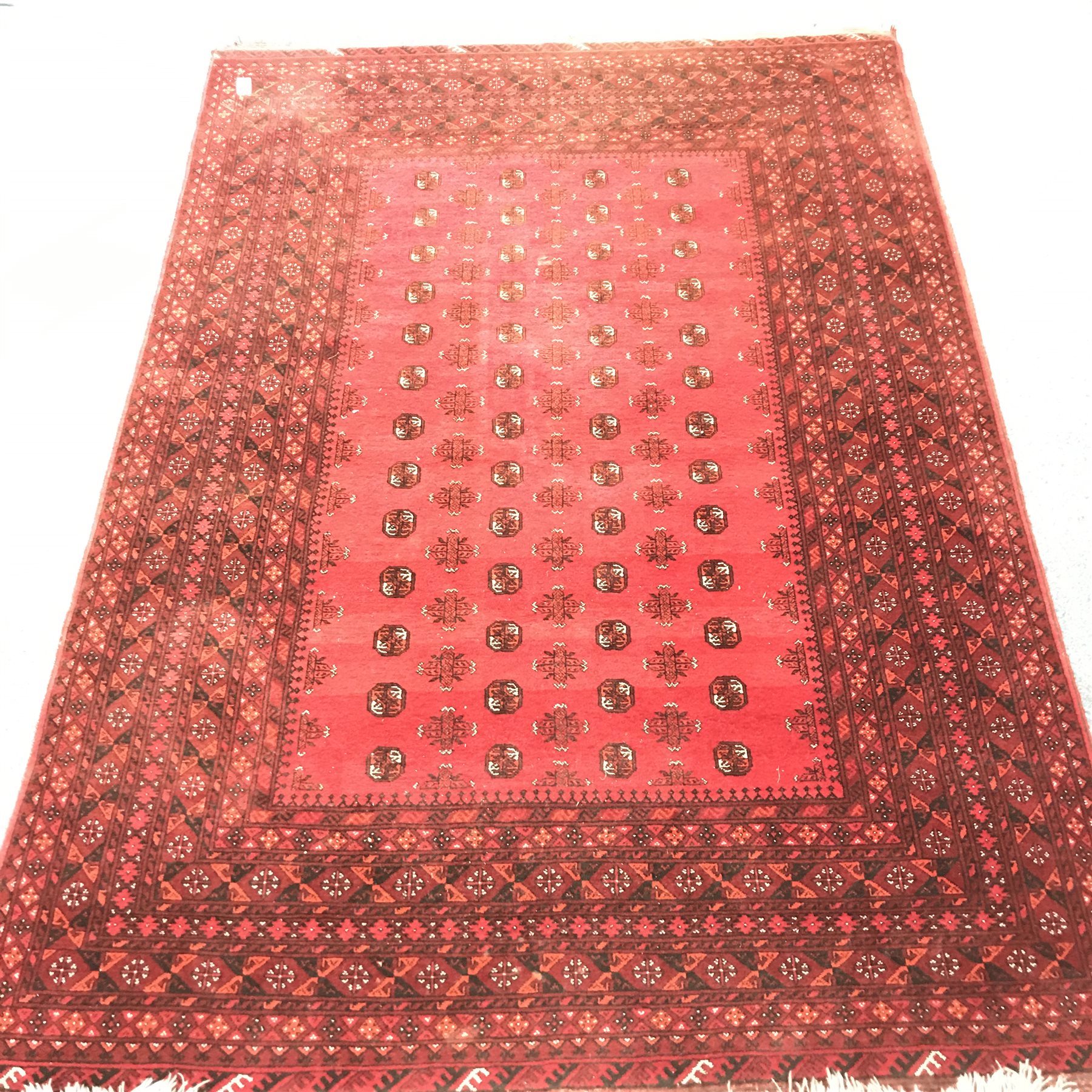 Bokhara red ground rug, repeating border, patterned field, 290cm x 202cm