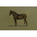 G. Falkner (British early 20th century): Portrait of a Liver Chestnut Stallion, watercolour signed,