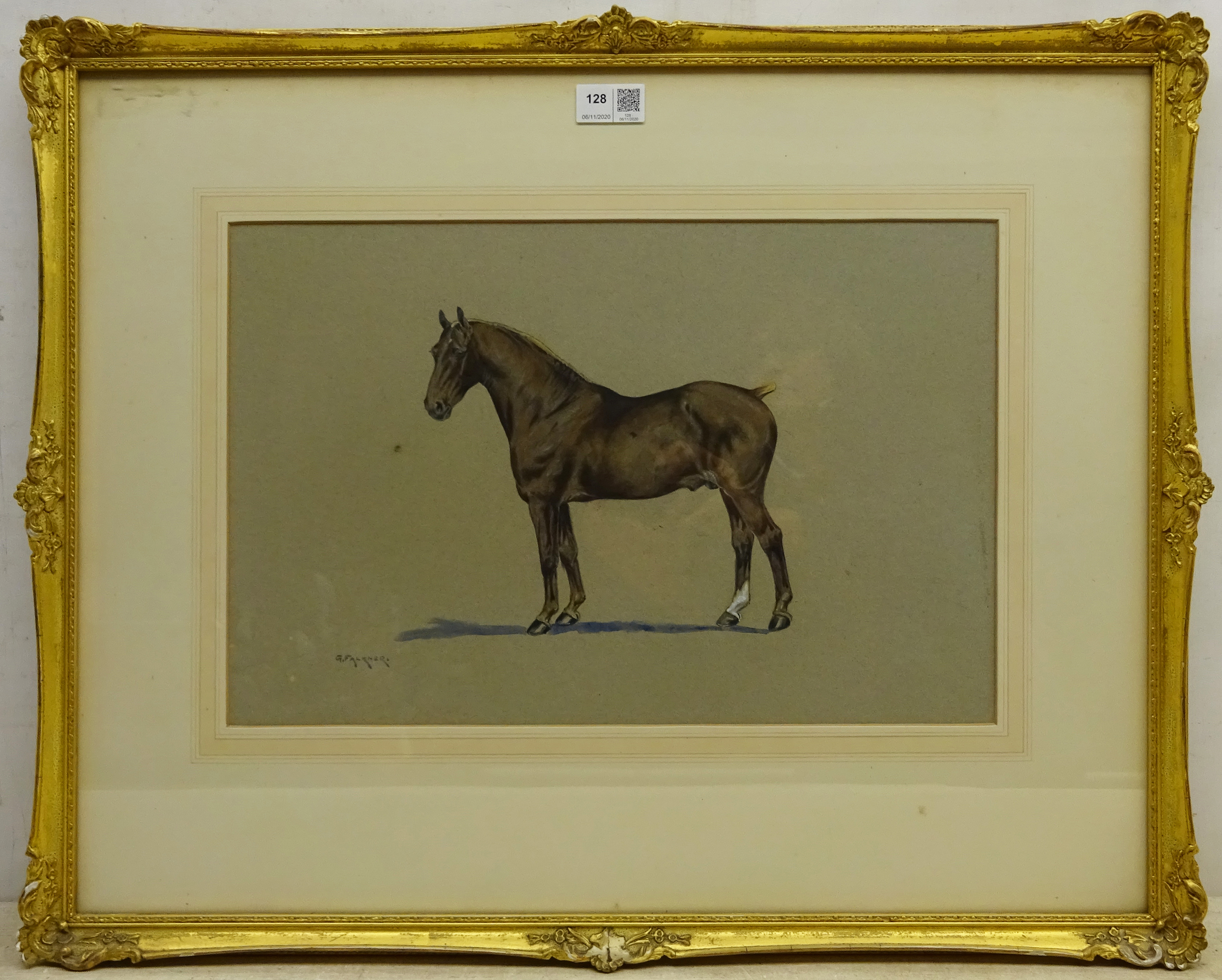 G. Falkner (British early 20th century): Portrait of a Liver Chestnut Stallion, watercolour signed, - Image 4 of 4