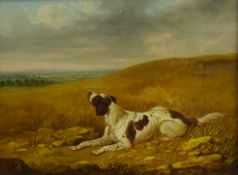 James Barenger Jnr. (British 1780-1831): Spaniel in Upland Landscape, oil on canvas signed and dated