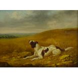 James Barenger Jnr. (British 1780-1831): Spaniel in Upland Landscape, oil on canvas signed and dated