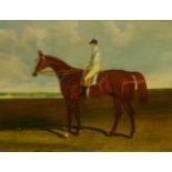 John Frederick Herring Snr. (British 1795-1865): 'Harkaway' - Race Horse Portrait, oil on canvas uns