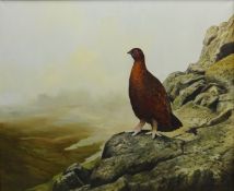 Berrisford Hill (British 1930-): Red Grouse on a Cragside, oil on canvas signed 49cm x 60cm DDS -