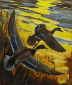 Sir Peter Markham Scott (British 1909-1989): Mallards Rising from Reeds at Sunrise, oil on canvas si