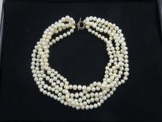 Five strand cultured pearl necklace, with silver clasp stamped 925