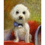 William Anthony 'Tony' Denison (British 1937-): Portrait of a Bichon Frise, oil on board signed 29c