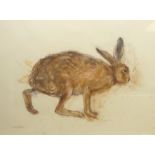 Lara Scouller (British 1983-): 'Brown Hare', pastel signed, titled and dated 2015 on label verso 51c