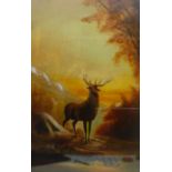 Stag in the Highlands, oil on canvas signed G Turner and dated 1915, 84cm x 52cm