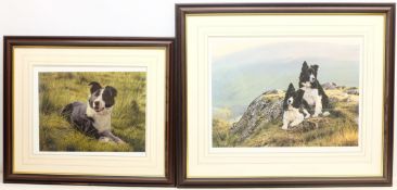 Steven Townsend (British 1955-): Sheepdogs, two limited edition colour prints signed and numbered in