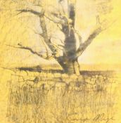 Emerson Mayes (British 1972-): 'Tree Study, November IV', mixed media signed, William Shone (British