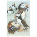 Robert E Fuller (British 1972-): Puffins, limited edition colour print signed and numbered 40/200 in