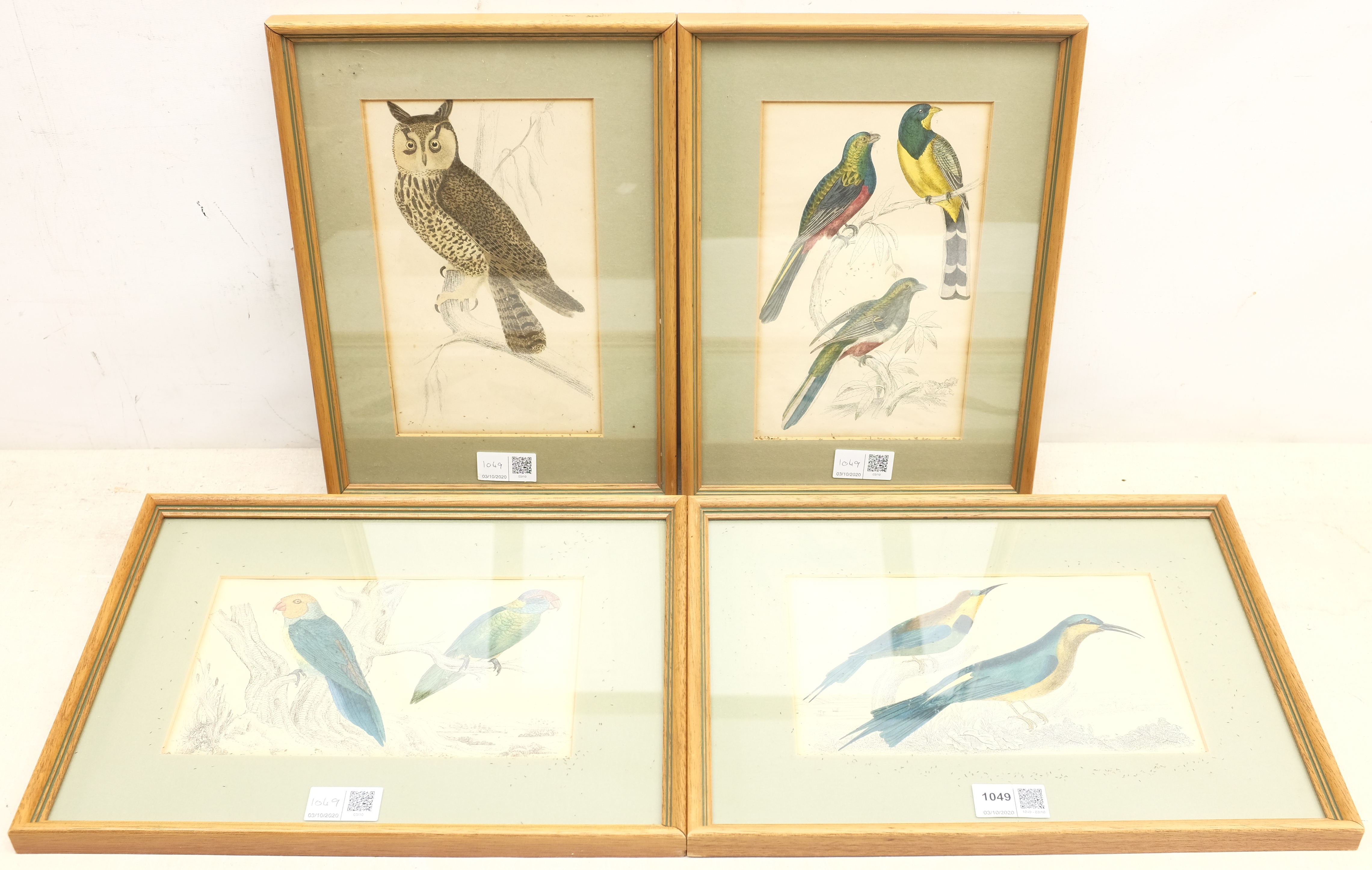 Ornithological Studies, set nine hand-coloured engravings c.1856 from Oliver Goldsmith's 'A History