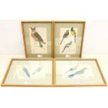 Ornithological Studies, set nine hand-coloured engravings c.1856 from Oliver Goldsmith's 'A History