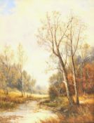 S Williams (British 19th Century): Woodland Stream, oil on board signed 26cm x 20cm