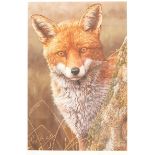 Robert E Fuller (British 1972-): 'Fox at Dawn', limited edition colour print signed and numbered 503