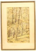 George Graham (British 1881-1949): Woodland Scene, watercolour signed 33cm x 21cm