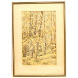 George Graham (British 1881-1949): Woodland Scene, watercolour signed 33cm x 21cm