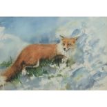 G F Overton (British 20th century): 'A Fox in the Snow', watercolour signed, titled on artist's Brid