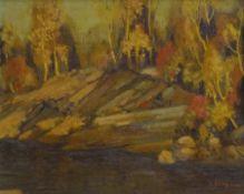 D M Stafford? (Canadian early 20th century): 'Autumn Lake Muskoka' Ontario, oil on board signed, tit