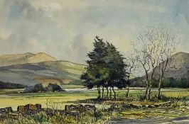 John Freeman (British 1942-): 'Loch Leven', pen ink and watercolour signed titled and dated '70, 25c