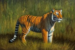 English School (Late 20th century): Tiger in Landscape, oil on canvas laid on board indistinctly sig