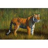 English School (Late 20th century): Tiger in Landscape, oil on canvas laid on board indistinctly sig