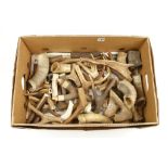 Quantity of antler and horn G