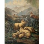 Alfred MORRIS (19th Century) Sheep in a Highland Landscape Oil on canvas Signed 127 x 100cm