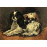 English School, late 19th/early 20th Century Two King Charles Spaniels Oil on canvas 24.5 x 34.5cm