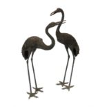 Two Japanese bronze models of cranes, each realistically cast and with raised heads, heights 158cm