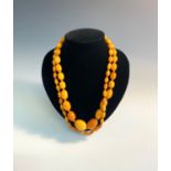 A 'butterscotch' amber long necklace, the largest bead 24mm 60gm
