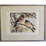 David KOSLER (British, 20th Century) 'Bullfinches & Japonica' Signed in pencil, inscribed as
