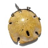 A Helen Feiler silver pendant set with a fossilized sea anemone. Diameter 75mmCondition report: Many