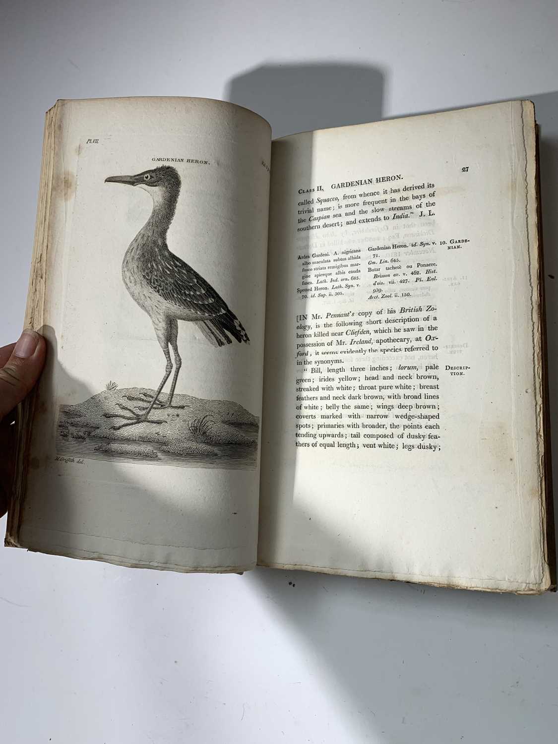 THOMAS PENNANT. "British Zoology." 4 Vols complete, engraved plates comp, 19c buckram, lettering - Image 16 of 19