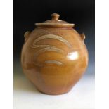 A large twin handled earthenware lidded jar of ovoid form, salt glaze, makers mark JW, height 38cm.