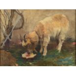 Harold C. HARVEY (1874-1941) The Goat Oil on canvasSigned and dated '22 45 x 60cmCondition report: