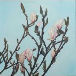 Rebecca JEWELL (b.1974) Magnolia BudsOil on canvasSigned and dated 2013 verso25.5 x 25.