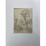 Stanley Roy BADMIN (1906-1989) Elm Tree near Mells Somerset April 1921Pencil studySigned, titled &