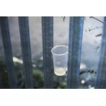 Richard WENTWORTH (b.1947) 'Cup in Fence'Print/MultipleSigned and dated 2001 and numbered 63/150