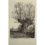 Stanley Roy BADMIN (1906-1989) Old AshCirca 1929Etching, A/P, reverse printSigned & titled in