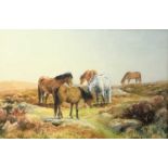 Thomas ROWDEN (1842-1926) Ponies Watercolour 38 x 58cm